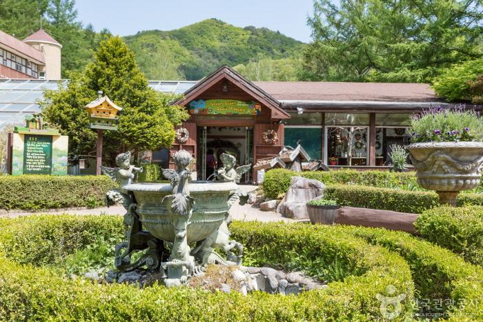 허브나라농원 이미지 1