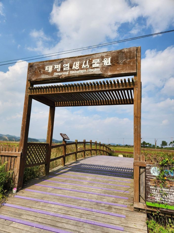 태평염생식물원 이미지 4