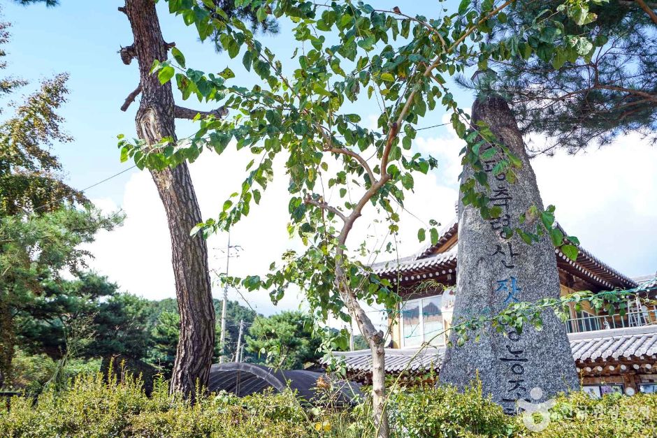 가평 영양잣마을 이미지 4