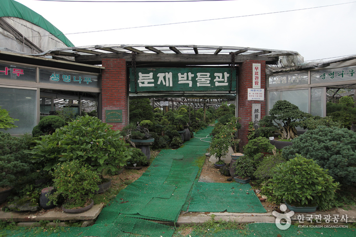 분재박물관 이미지 1