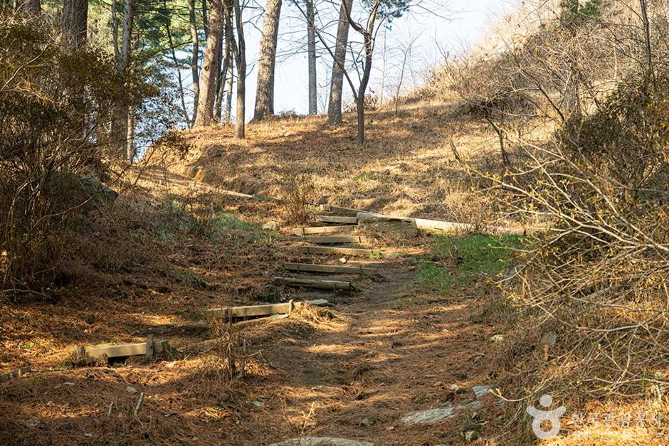 남양주 축령산 이미지 4
