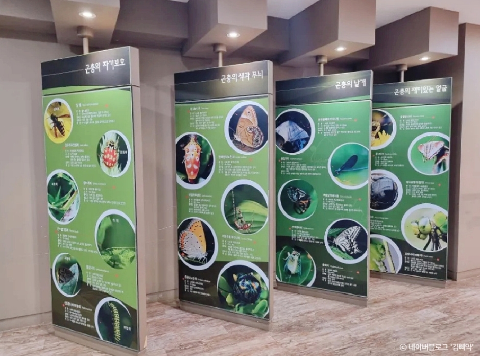 부천자연생태박물관 이미지 3