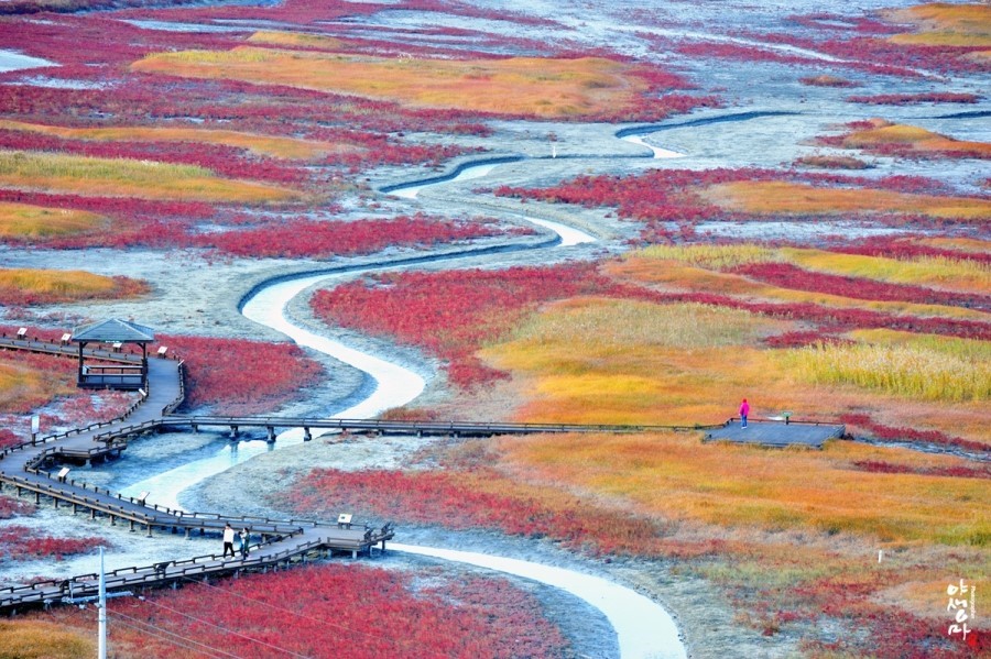 태평염생식물원 이미지 1