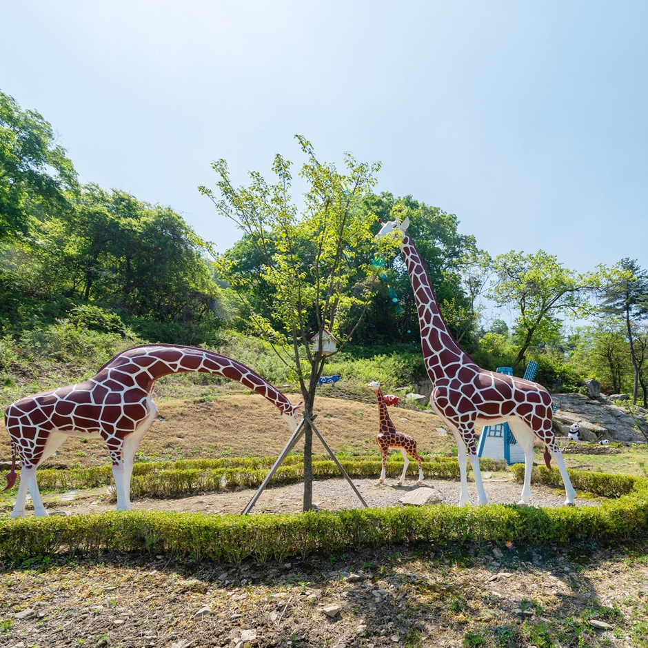 양평 오르다온 수목원 이미지 2