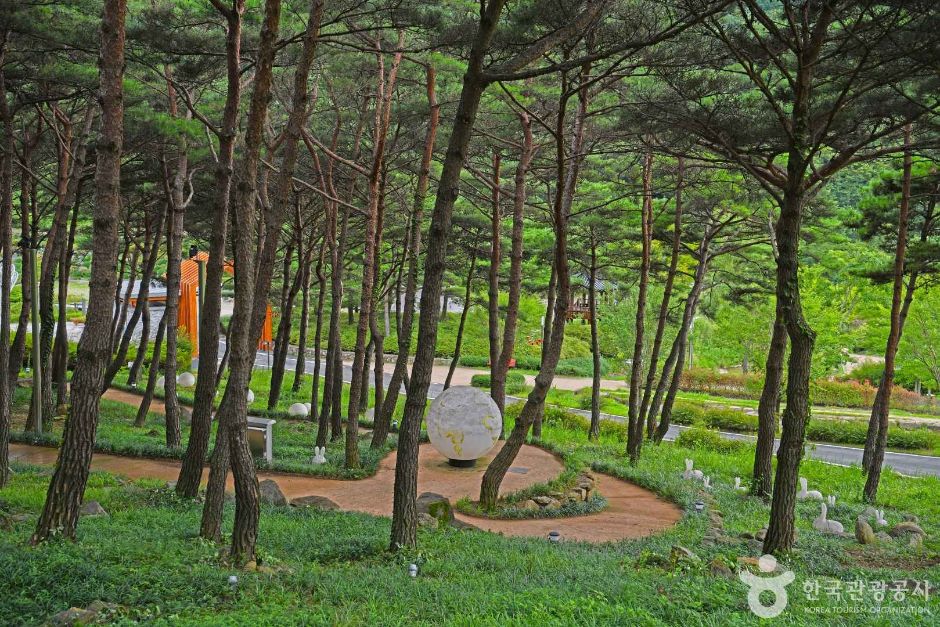 구례 지리산생태숲 야생화테마랜드 이미지 4