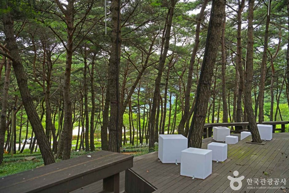 구례 지리산생태숲 야생화테마랜드 이미지 7