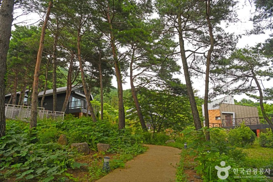 구례 지리산생태숲 야생화테마랜드 이미지 5