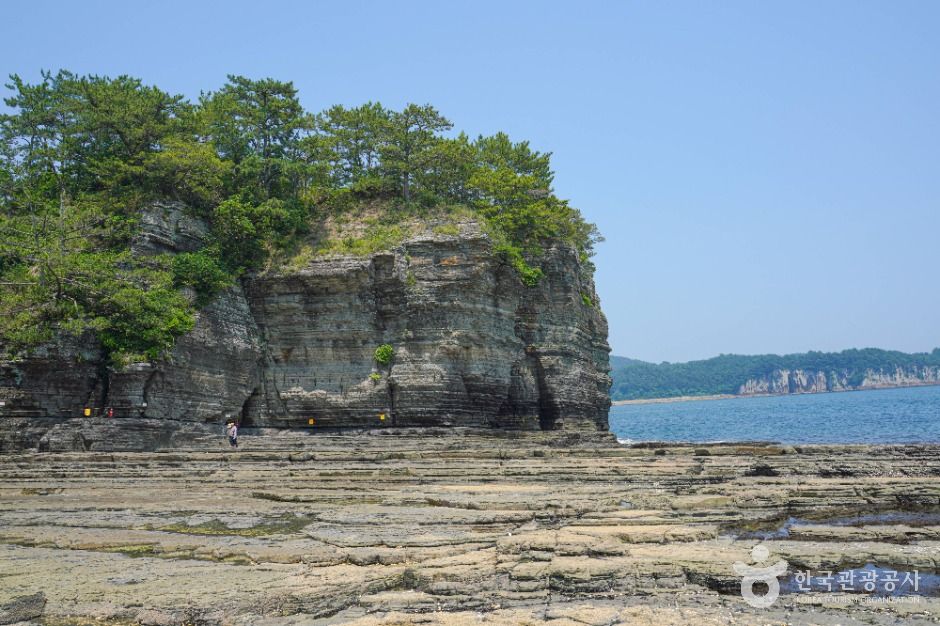 고성 상족암 군립공원 이미지 7