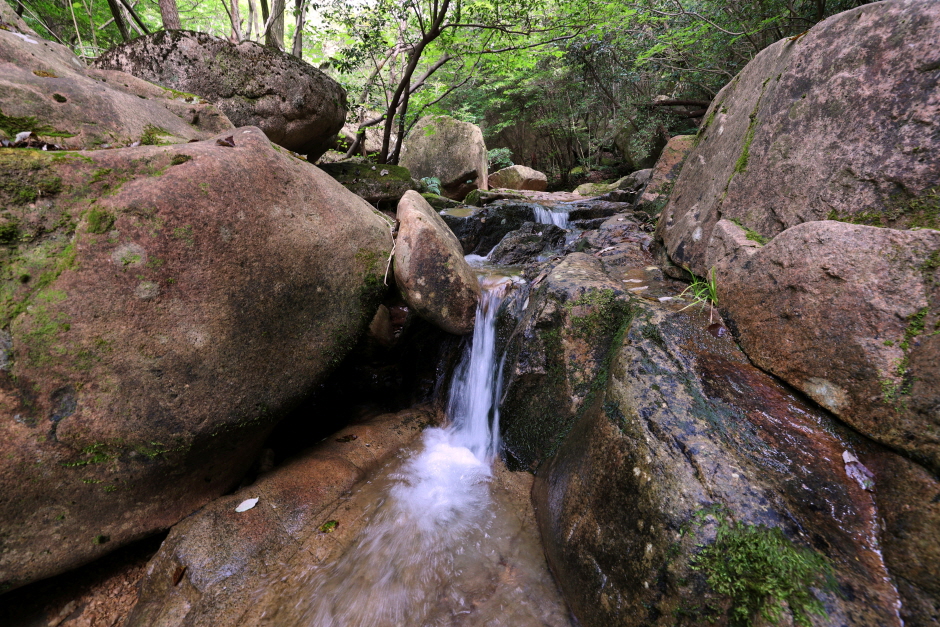 강진 월출산국립공원 경포대지구 이미지 7