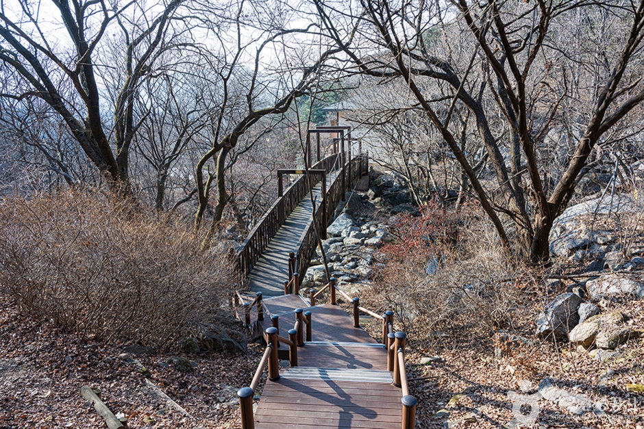 남양주 축령산자연휴양림 이미지 4