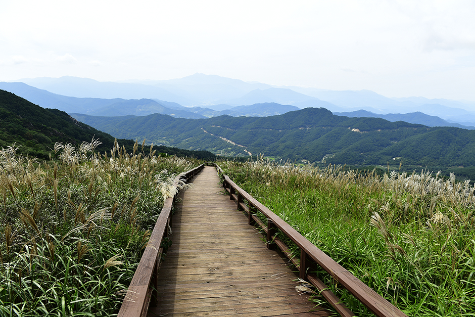 산청 황매산미리내파크 이미지 4