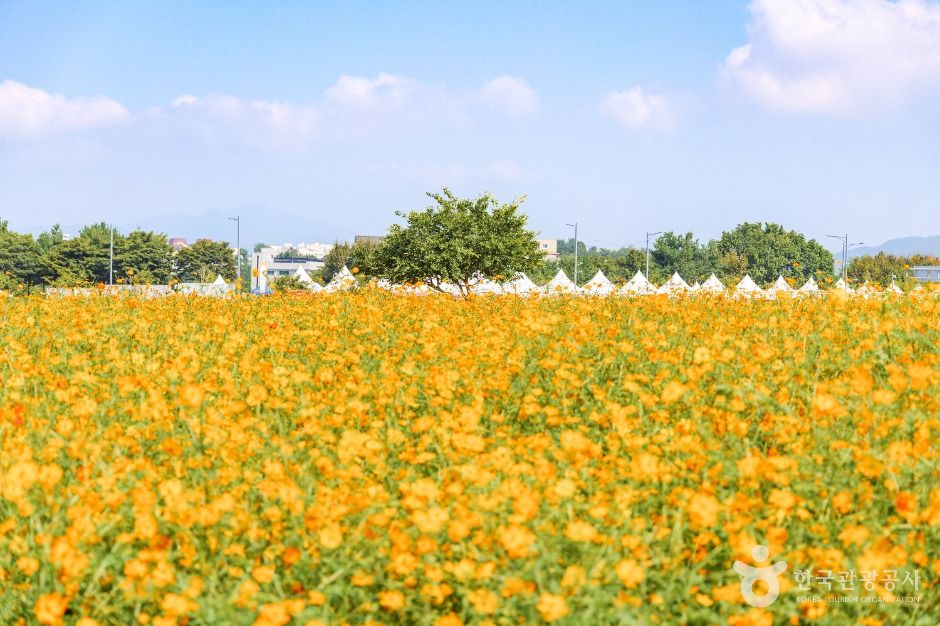 양주 나리농원 이미지 1