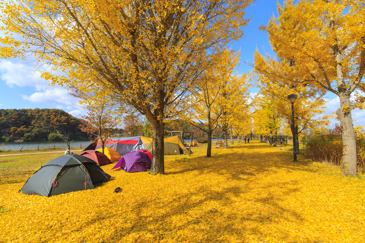 강천섬 유원지 이미지 3