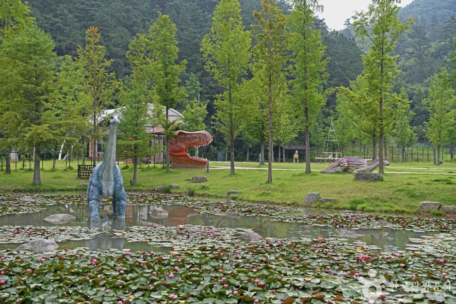 담양 메타세쿼이아길 이미지 6