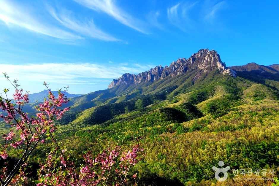 고성 울산바위 촬영휴게소 _별 은하수 감상하는 곳 이미지 5