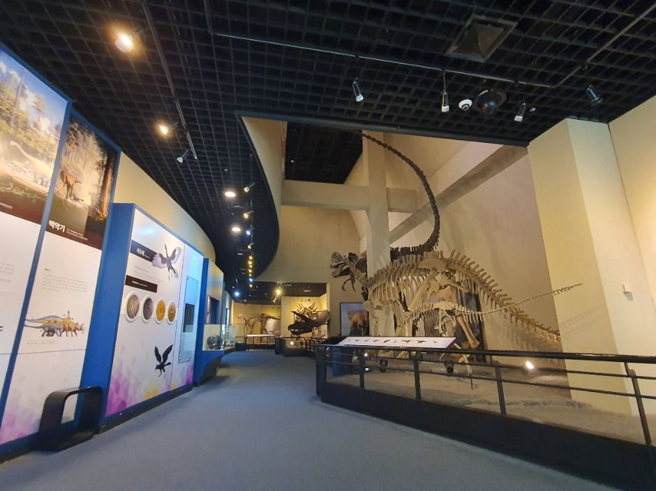 고성 공룡박물관 이미지 3