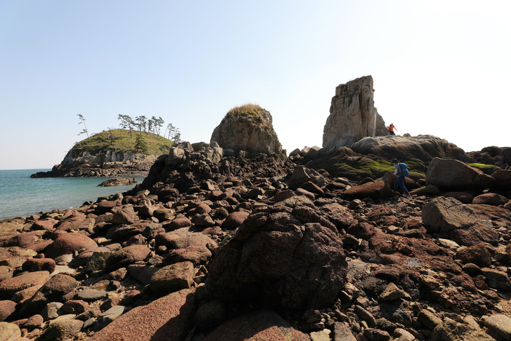 옹진군 덕적도 갈대 군락지 이미지 4