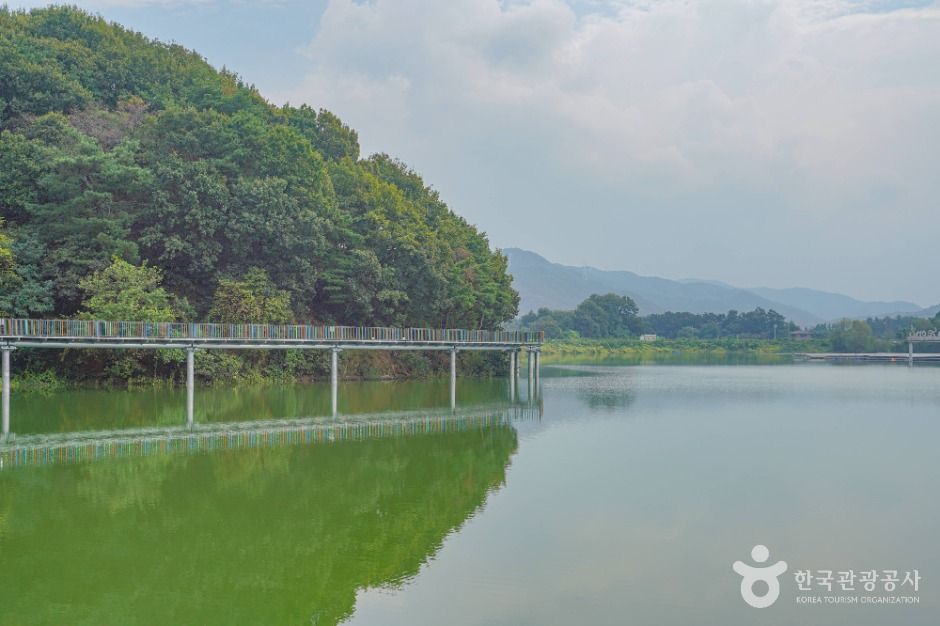 안성 덕산저수지 산책로 이미지 3