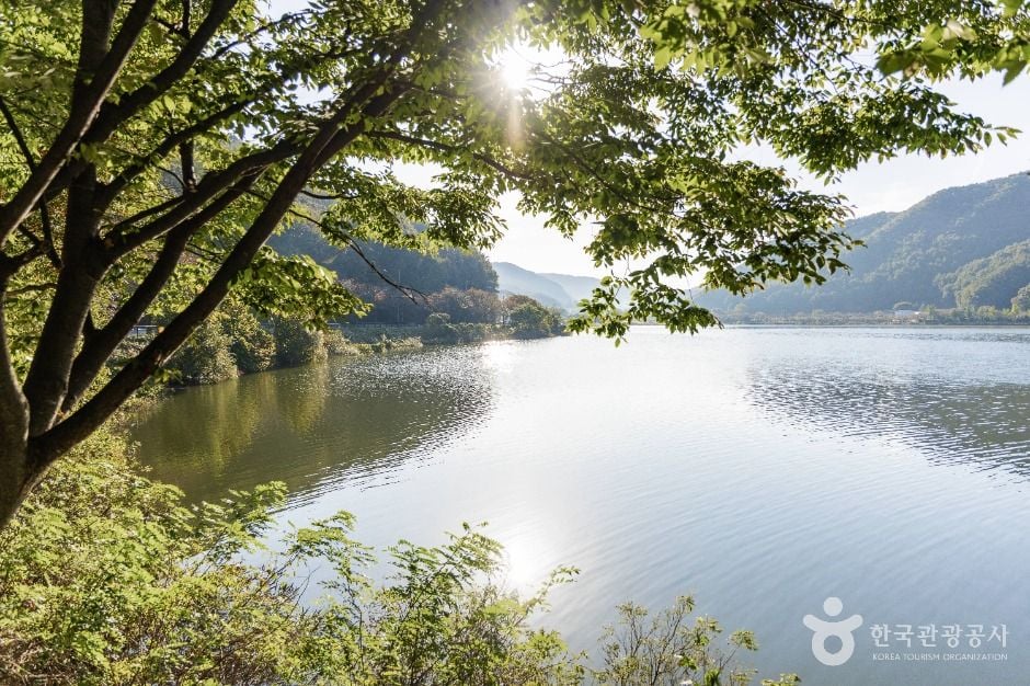 음성 무극저수지 이미지 3