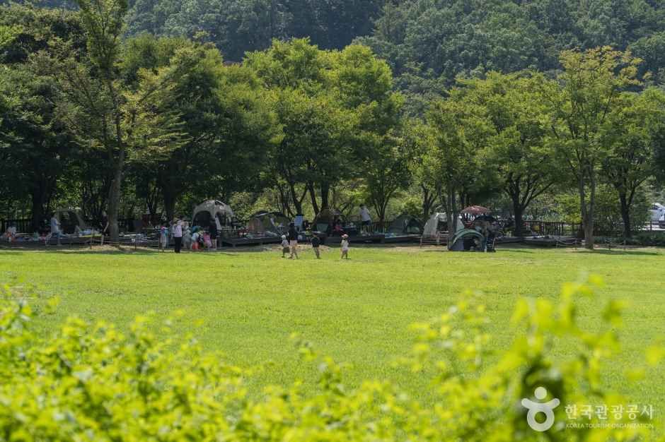 용인 자연휴양림 이미지 1