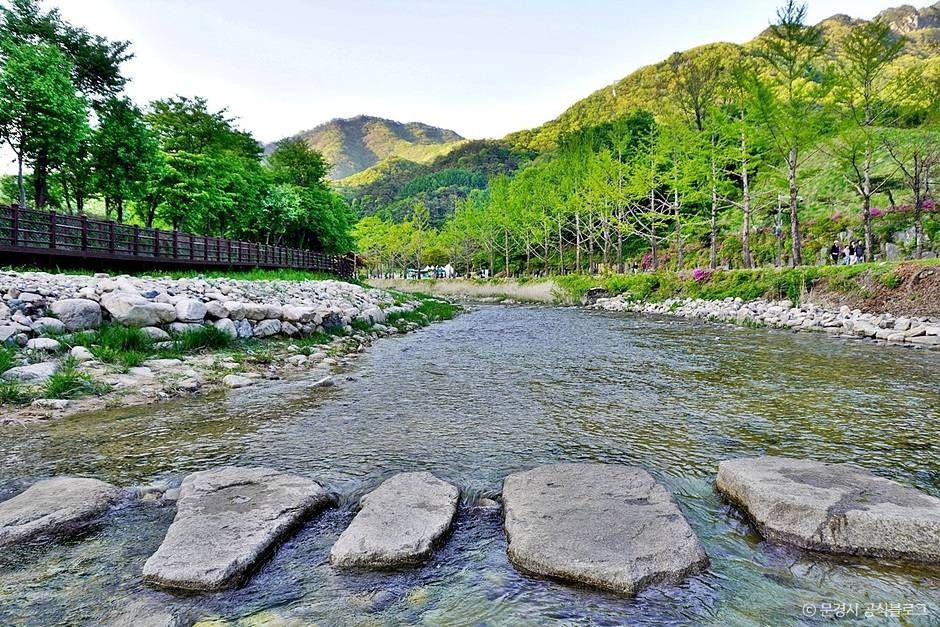문경 생태미로공원 이미지 10