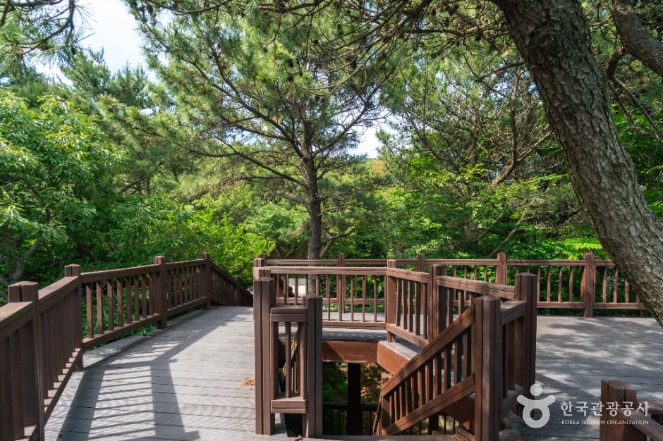 병대도전망대 이미지 7