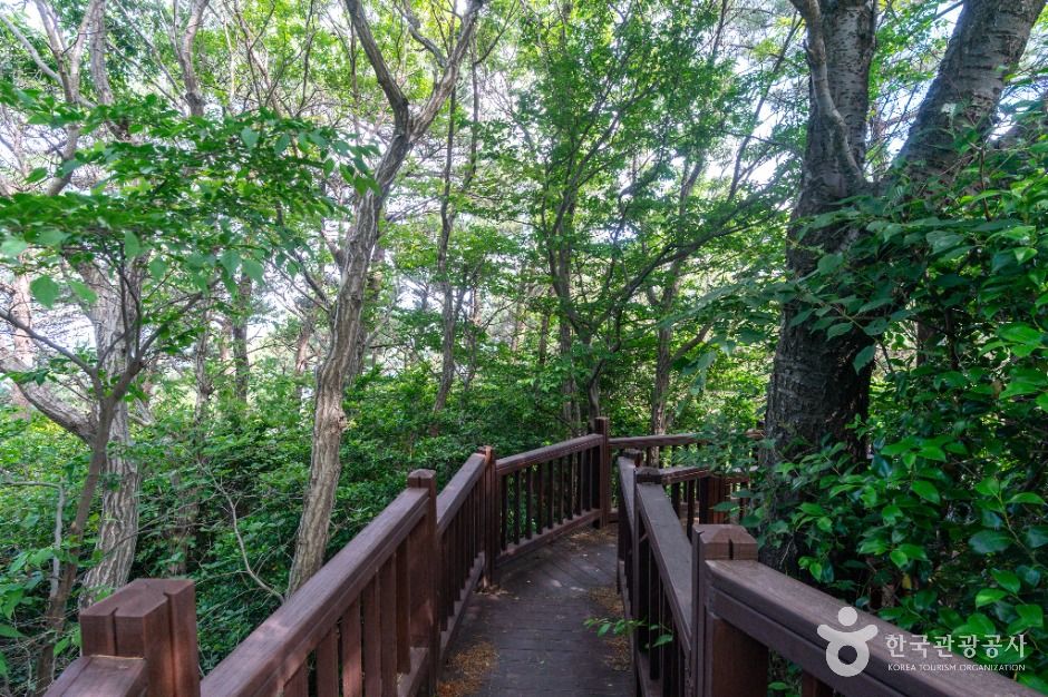 병대도전망대 이미지 4