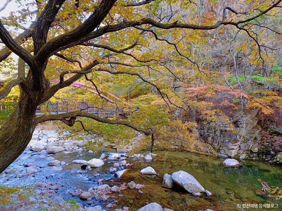 합천 가야산 소리길 이미지 7