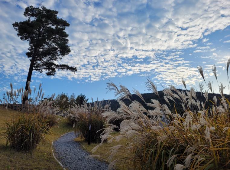 정선 로미지안 가든 이미지 8