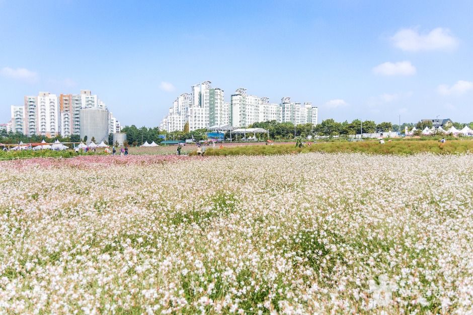 양주 나리농원 이미지 2