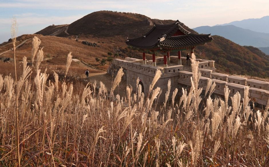 산청 황매산 이미지 8