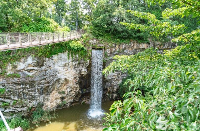 도덕산 출렁다리 이미지 5