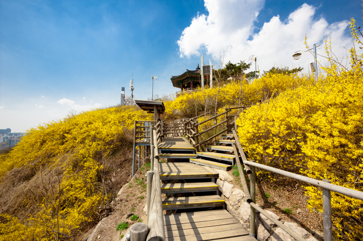 서울 응봉산 이미지 8