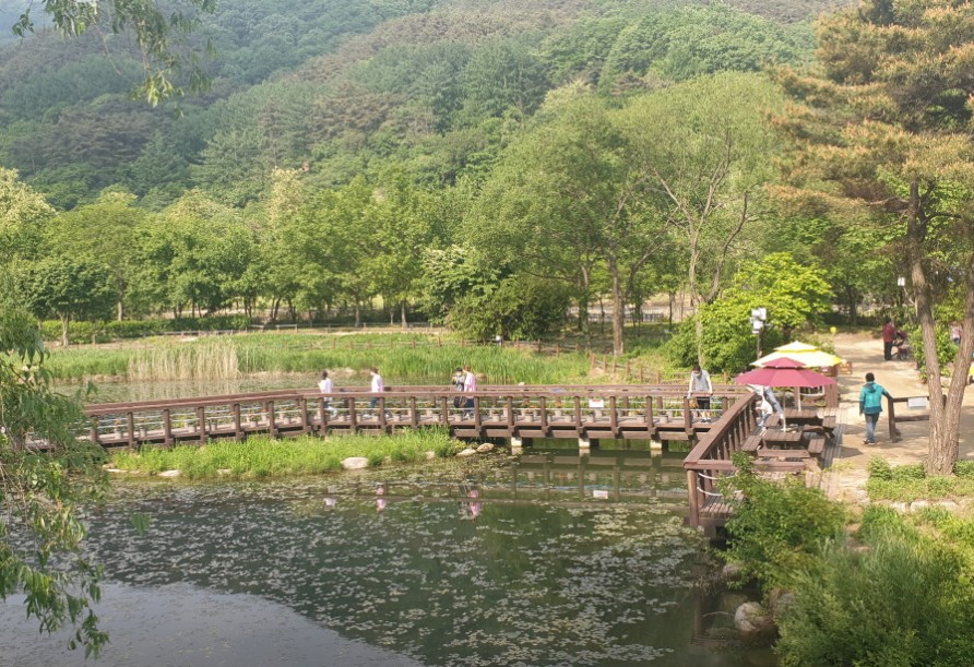 문경 생태미로공원 이미지 9