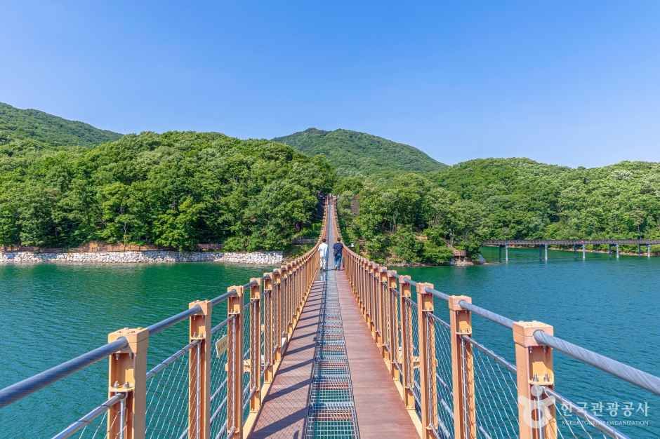 마장호수 출렁다리 이미지 5