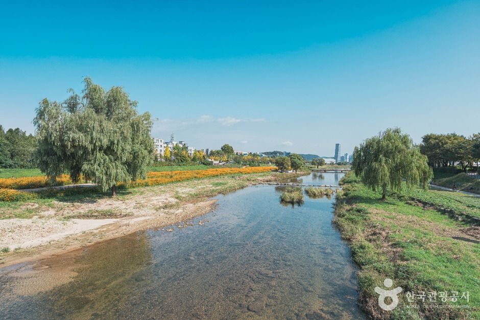 대전 갑천생태호수공원 이미지 4