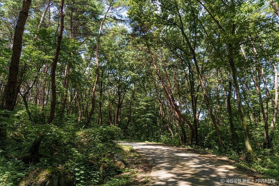 영천 팔공산국립공원_은해사지구 이미지 4