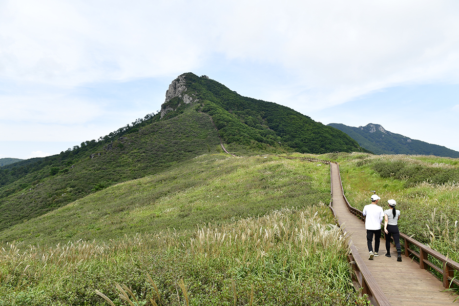 산청 황매산미리내파크 이미지 5