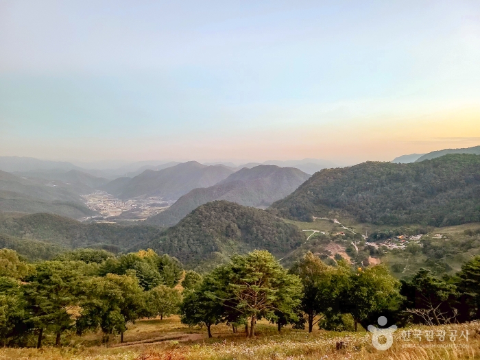 평창 육십마지기 _산너미목장 이미지 2