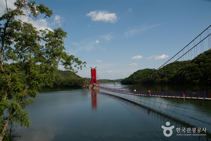 천장호 출렁다리 이미지 1