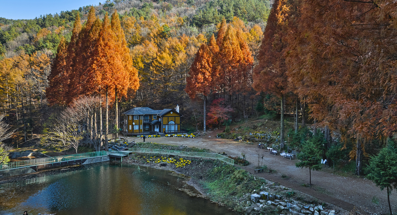 논산 온빛자연휴양림 이미지 6