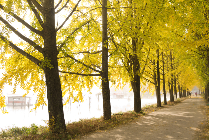 괴산 문광저수지 이미지 3