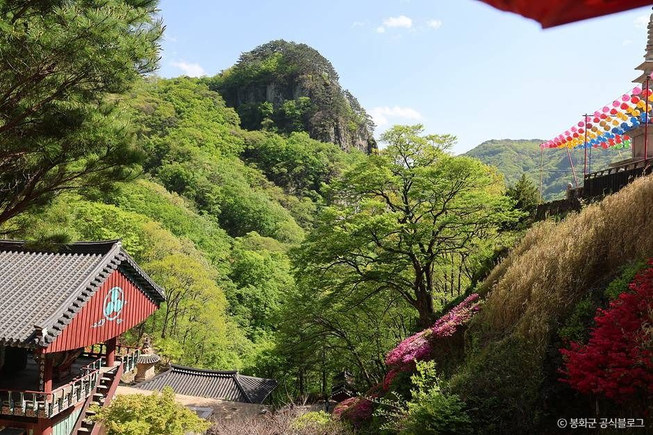 봉화 청량산 청량사 이미지 1