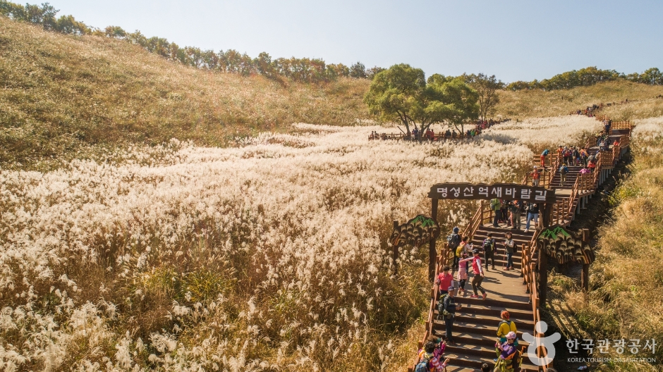 포천 명성산 억새밭 이미지 6