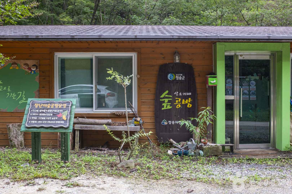 청송 자연휴양림 이미지 1