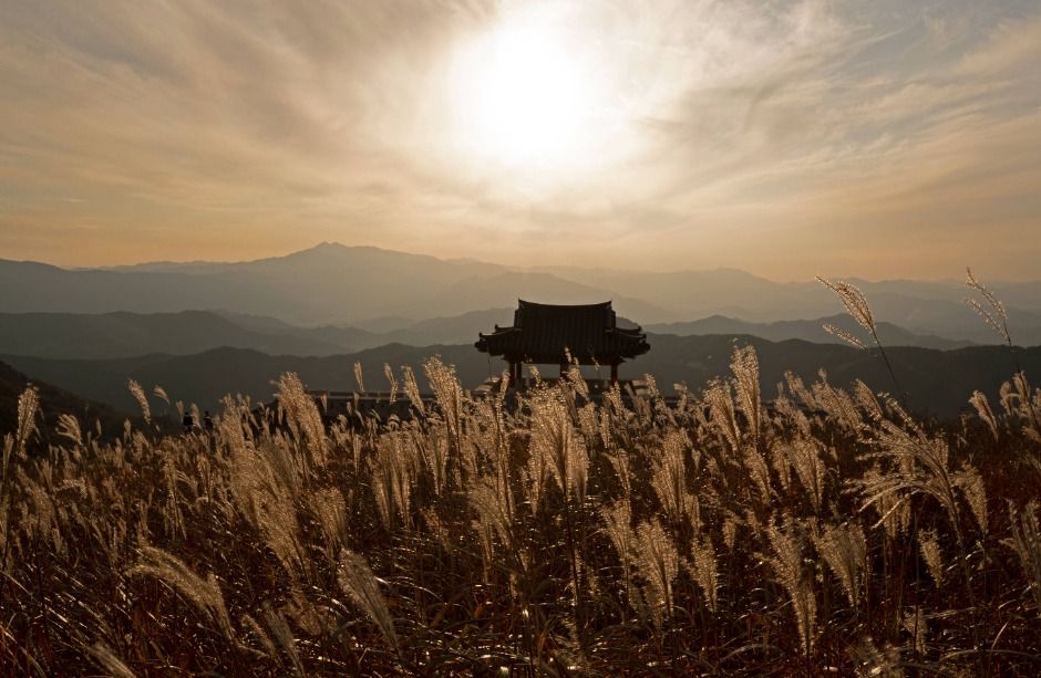 산청 황매산 이미지 6