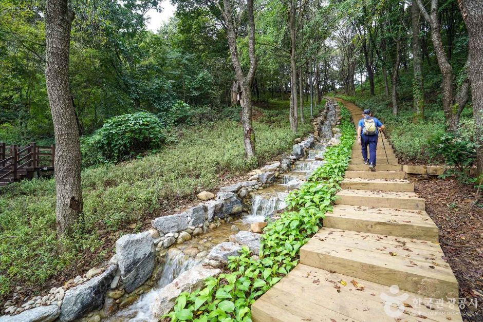 연천 망곡산 연인공원 이미지 6