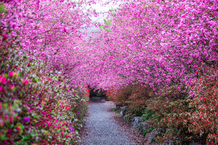 강진 남미륵사 이미지 2