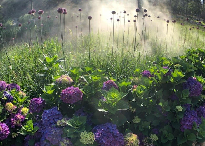 해남 포레스트수목원 이미지 9