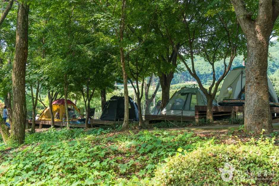 용인 자연휴양림 이미지 2